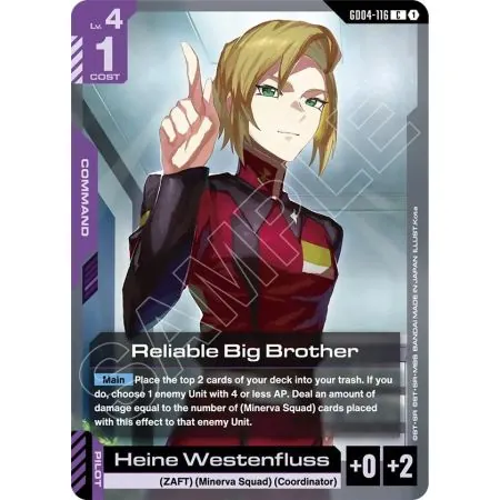 Reliable Big Brother