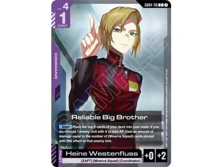 Reliable Big Brother