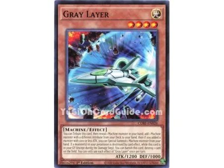 Gray Layer (Common)