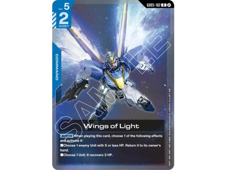Wings of Light