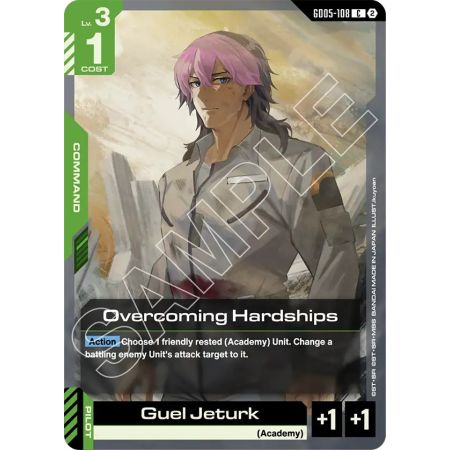 Overcoming Hardships
