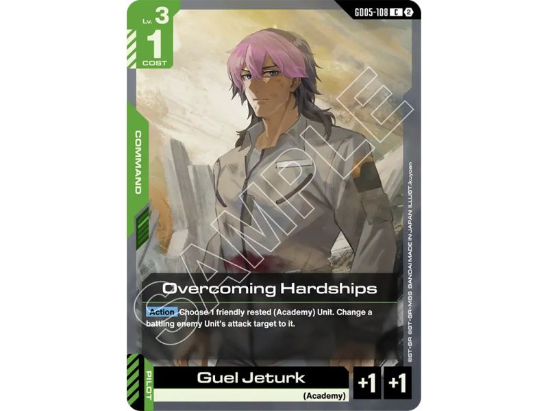 Overcoming Hardships
