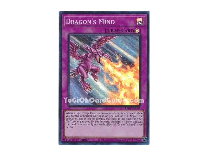 Dragon's Mind