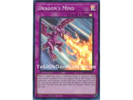 Dragon's Mind