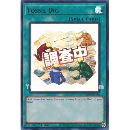 Fossil Dig