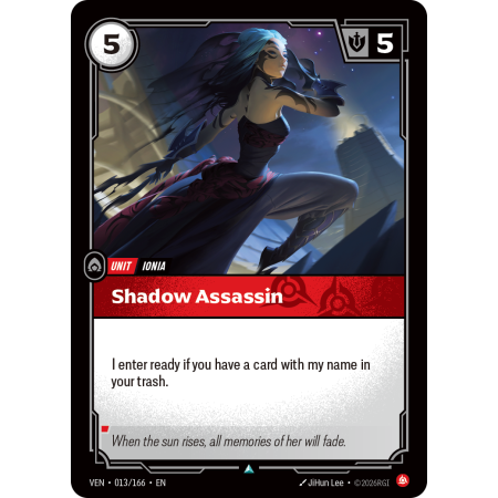 Shadow Assassin