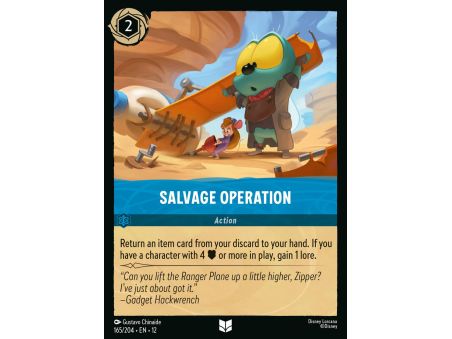 Salvage Operation